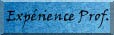 Exp�rience Professionnelle